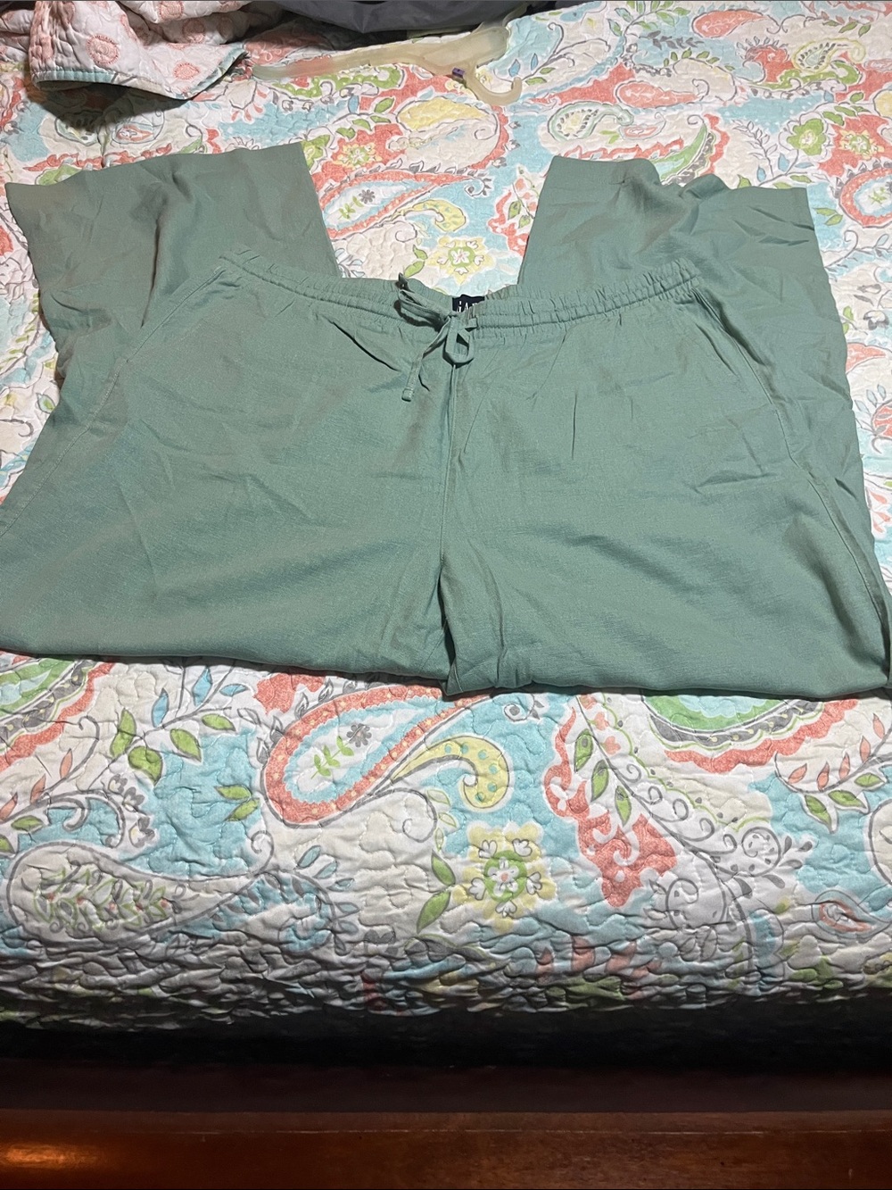 GAP Sage Green Drawstring Linen type Pants